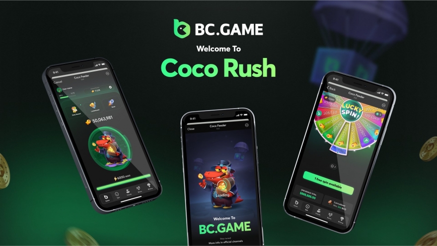 Dive into the Exciting World of Dice BC Hash Game