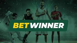 Explore BetWinner Sportsbook Your Guide to Thrilling Betting Experiences