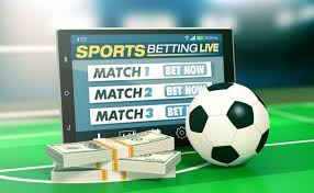 Exploring Stellar Spins Casino Your Ultimate Gaming Destination -112224342